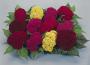 Seminte profesionale Celosia cristata - Creasta cocosului - imagine 23144